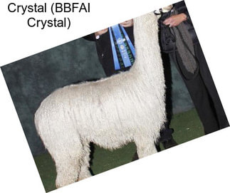 Crystal (BBFAI Crystal)