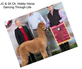 JC & 3X Ch. Hobby Horse Dancing Through Life