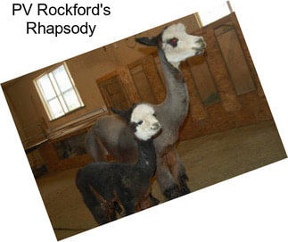 PV Rockford\'s Rhapsody