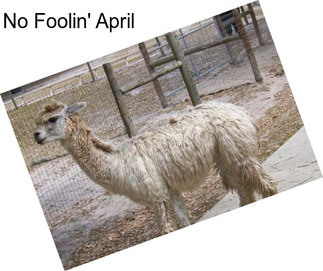 No Foolin\' April