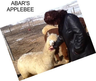 ABAR\'S APPLEBEE