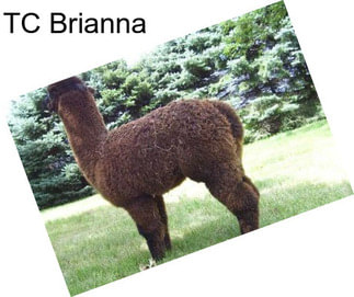TC Brianna