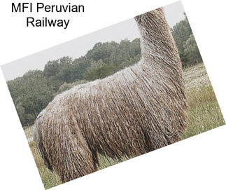 MFI Peruvian Railway