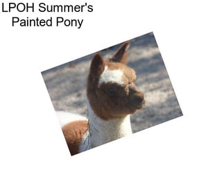 LPOH Summer\'s Painted Pony