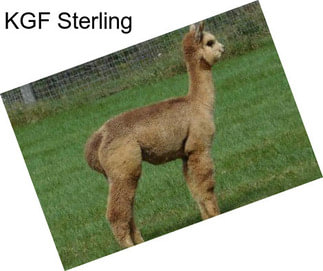 KGF Sterling