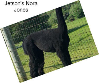 Jetson\'s Nora Jones