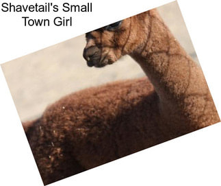Shavetail\'s Small Town Girl