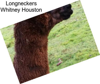 Longneckers Whitney Houston