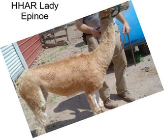 HHAR Lady Epinoe