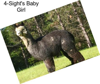 4-Sight\'s Baby Girl