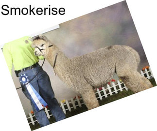Smokerise