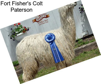 Fort Fisher\'s Colt Paterson