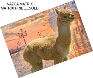 NAZCA MATRIX MATRIX PRIDE...SOLD