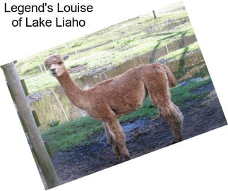 Legend\'s Louise of Lake Liaho