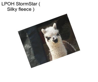 LPOH StormStar ( Silky fleece )