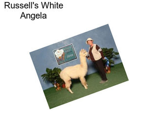 Russell\'s White Angela