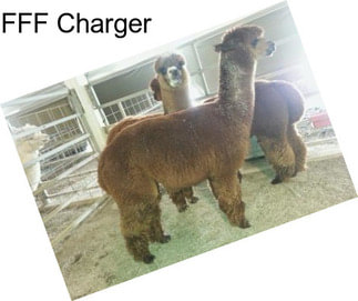 FFF Charger