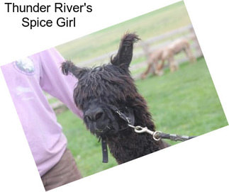 Thunder River\'s Spice Girl