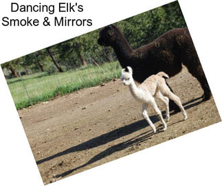 Dancing Elk\'s Smoke & Mirrors