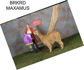 BRKRD MAXAMUS