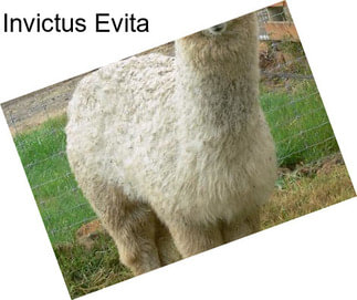 Invictus Evita