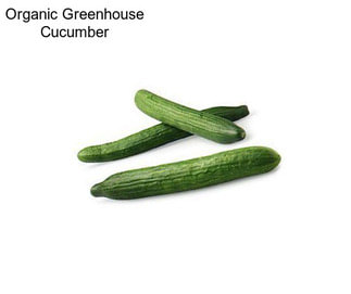 Organic Greenhouse Cucumber