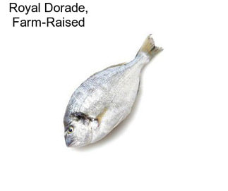 Royal Dorade, Farm-Raised