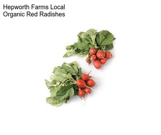 Hepworth Farms Local Organic Red Radishes