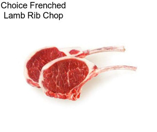 Choice Frenched Lamb Rib Chop