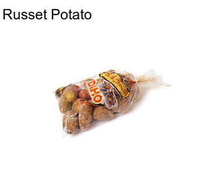 Russet Potato