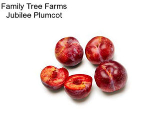 Family Tree Farms Jubilee Plumcot
