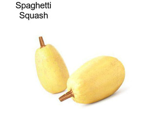 Spaghetti Squash