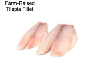 Farm-Raised Tilapia Fillet