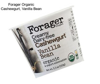 Forager Organic Cashewgurt, Vanilla Bean