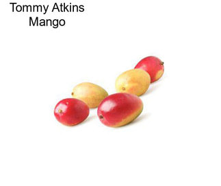 Tommy Atkins Mango