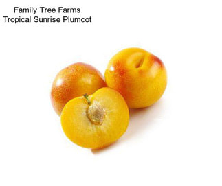 Family Tree Farms Tropical Sunrise Plumcot