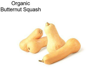 Organic Butternut Squash