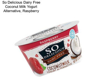 So Delicious Dairy Free Coconut Milk Yogurt Alternative, Raspberry