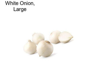 White Onion, Large