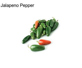 Jalapeno Pepper