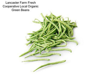 Lancaster Farm Fresh Cooperative Local Organic Green Beans