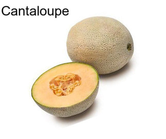 Cantaloupe