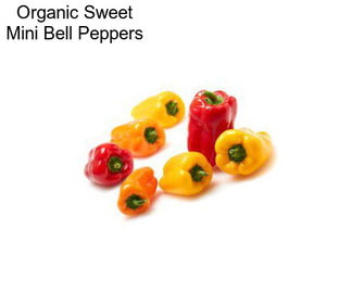 Organic Sweet Mini Bell Peppers