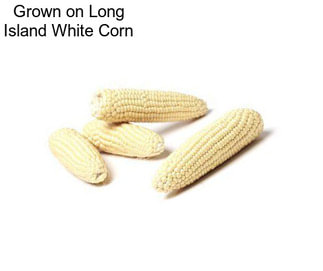 Grown on Long Island White Corn