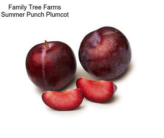 Family Tree Farms Summer Punch Plumcot