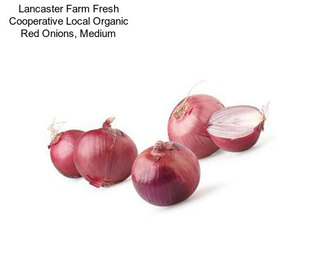 Lancaster Farm Fresh Cooperative Local Organic Red Onions, Medium