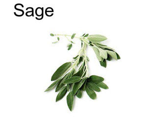 Sage