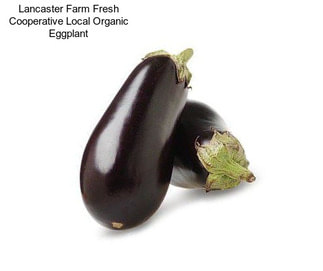 Lancaster Farm Fresh Cooperative Local Organic Eggplant