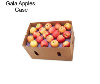 Gala Apples, Case