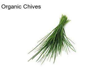 Organic Chives